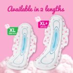 Whisper Ultra Soft sanitary pads XL size