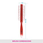 Vega R4-RB Hair Brush for Smooth Styling and Detangling