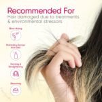 Repair conditioner for dry and damaged hair texture