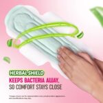 Sofy AntiBacteria XL 290mm Pads 14 Count - Image 5